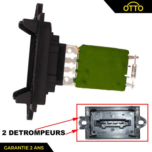 Per 1007 modulo - 1007,